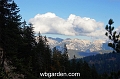 wbgarden alps 45